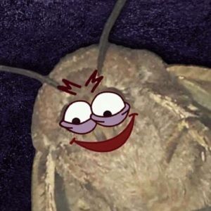 Meet your Posher, Blake